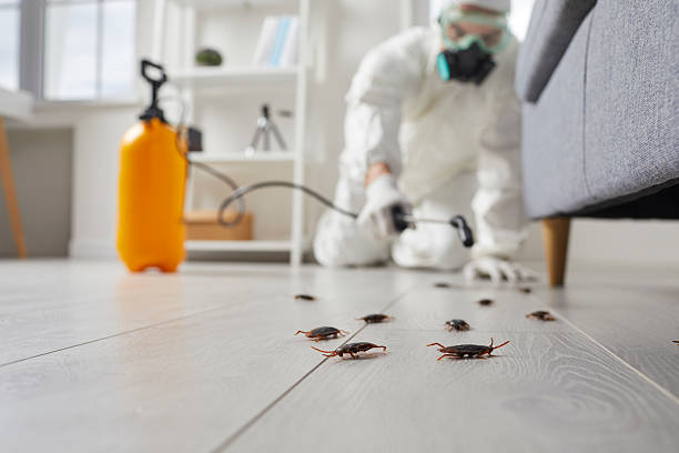 Commercial Rodent Management in Marionville